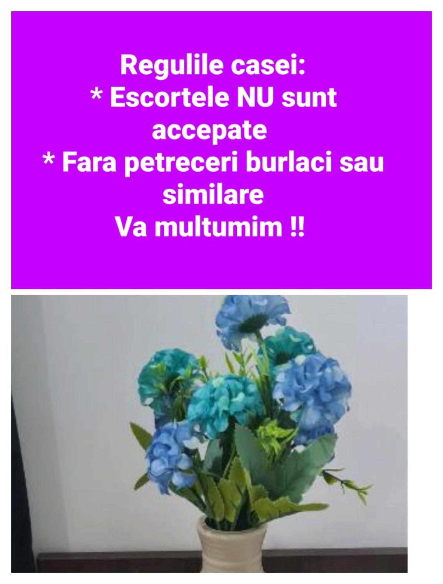 Seby Studio Constanta Bagian luar foto